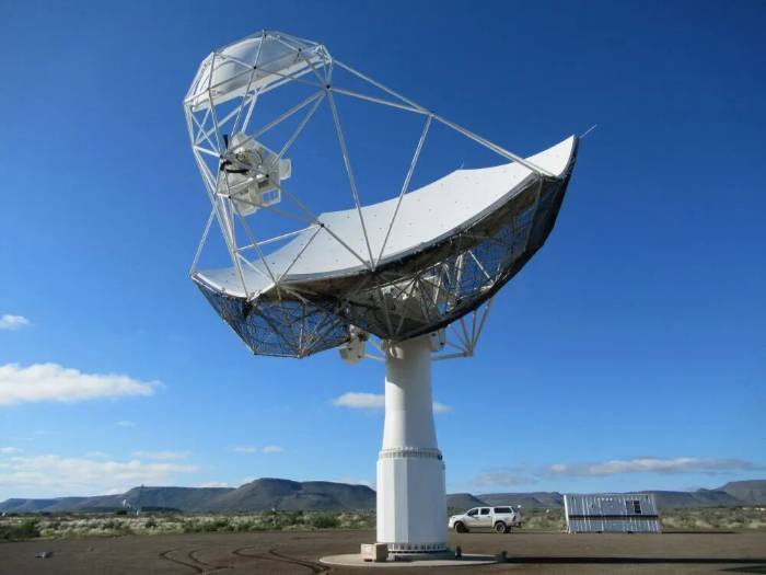 2026.3.1二十四周年6